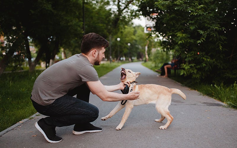 Law Office of Justin A. Wallace in Timonium MD